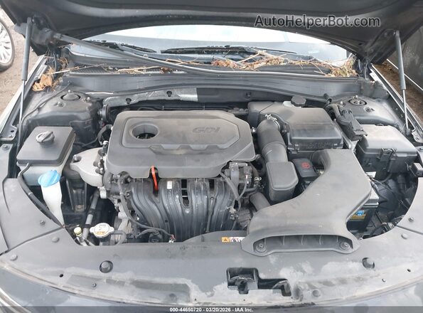 5XXGT4L39GG115160 2016 KIA OPTIMA Black Rear view