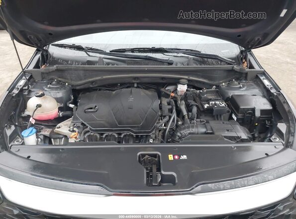 5XYK33AF4PG037660 2023 KIA SPORTAGE Gray Widok z tyłu