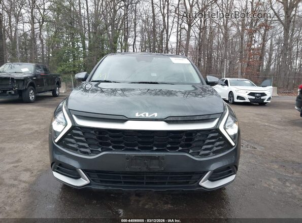5XYK33AF4PG037660 2023 KIA SPORTAGE Gray Widok wnętrza z tyłu