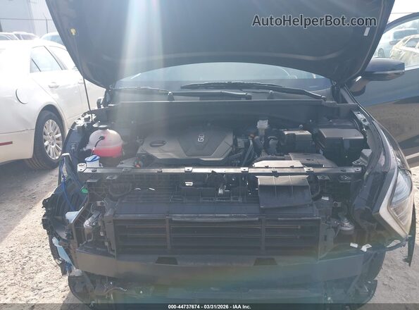 5XYK33DF7RG219142 2024 KIA SPORTAGE Black Widok z tyłu