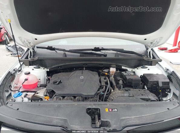 5XYK7CDF0RG209556 2024 KIA SPORTAGE White უკანა ხედი