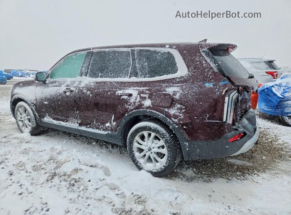 5XYP2DHC5MG108967 2021 KIA TELLURIDE Burgundy Rear left