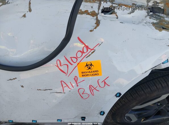 5XYP34GCXSG711232 2025 KIA TELLURIDE White Widok tylnych siedzeń