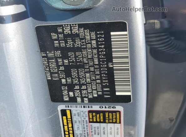 5XYP3DGC1PG341621 2023 KIA TELLURIDE Серебряный Вид наклейки с VIN-кодом