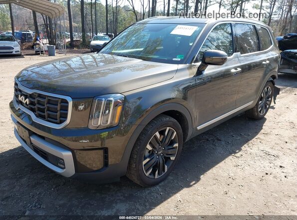 5XYP54GC5RG468515 2024 KIA TELLURIDE Brown 