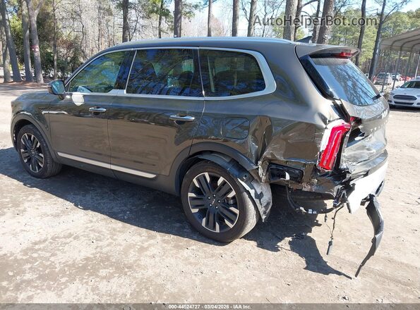 5XYP54GC5RG468515 2024 KIA TELLURIDE Brown 