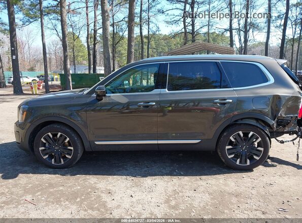 5XYP54GC5RG468515 2024 KIA TELLURIDE Brown 