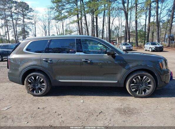 5XYP54GC5RG468515 2024 KIA TELLURIDE Brown 