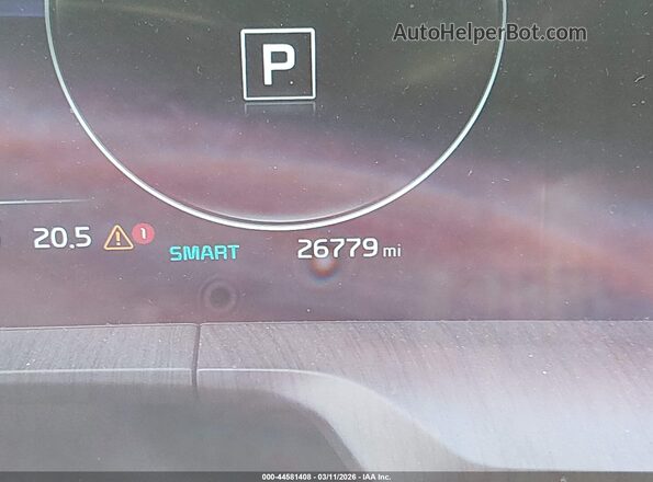 5XYP5DGC4RG436428 2024 KIA TELLURIDE Blue 