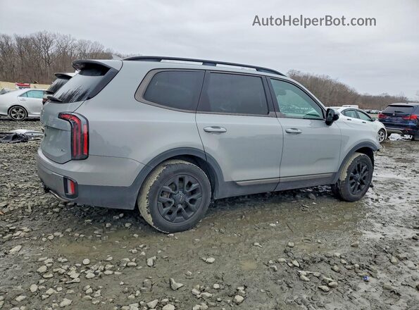 5XYP5DGC5PG396339 2023 KIA TELLURIDE Серый Задняя правая четверть