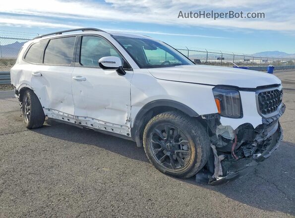 5XYP5DGC9PG387966 2023 KIA TELLURIDE White 