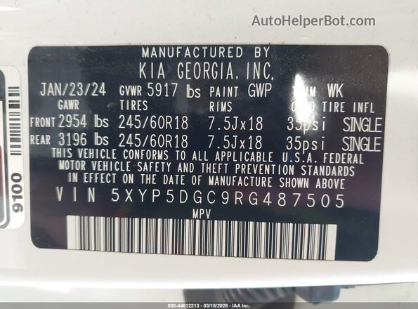 5XYP5DGC9RG487505 2024 KIA TELLURIDE White Widok komory silnika