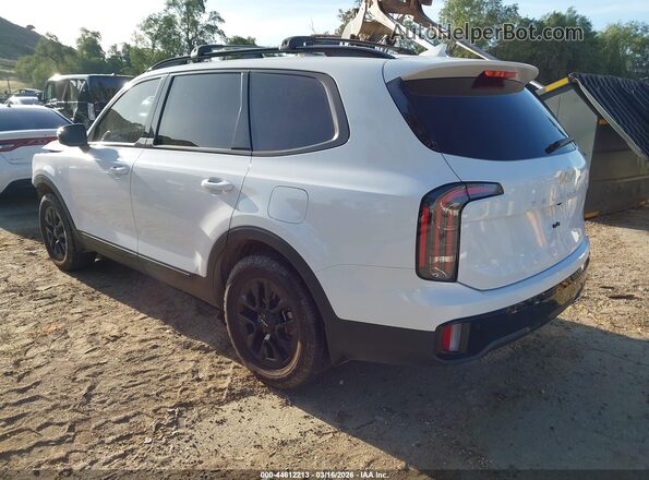 5XYP5DGC9RG487505 2024 KIA TELLURIDE White Tył lewy