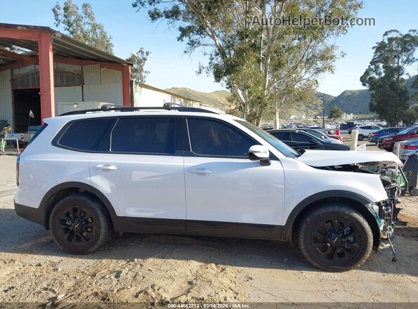 5XYP5DGC9RG487505 2024 KIA TELLURIDE White Widok wnętrza 360 stopni
