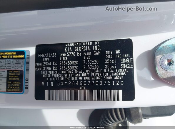5XYP64GC7PG375120 2023 KIA TELLURIDE White 