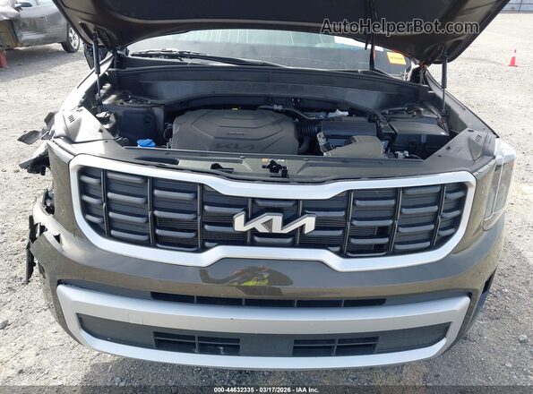5XYP6DGC2SG710678 2025 KIA TELLURIDE Green Vista trasera