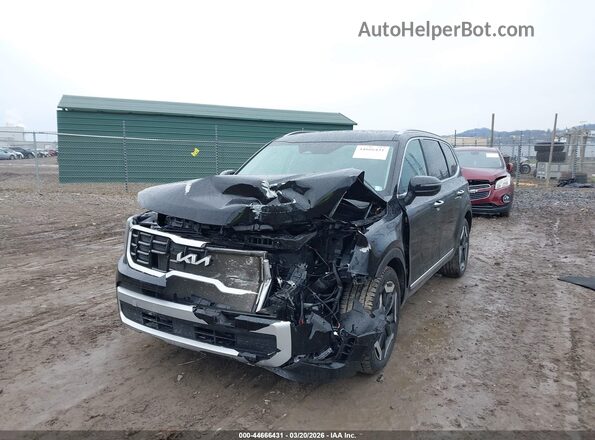 5XYP6DGCXRG497490 2024 KIA TELLURIDE Black 
