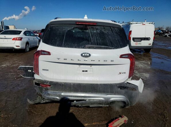 5XYP6DHC5MG150141 2021 KIA TELLURIDE White Rear view