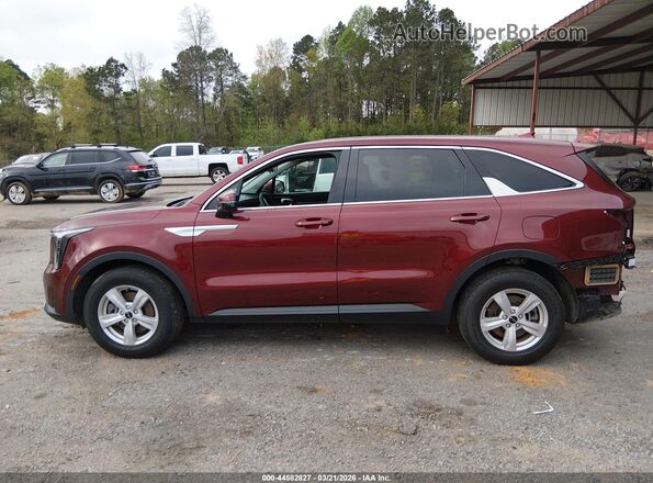 5XYRG4JC6RG257299 2024 KIA SORENTO Red 