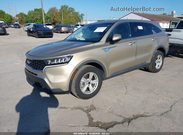 5XYRG4LC0MG003948 2021 KIA SORENTO Gold Front left