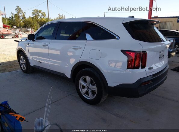 5XYRG4LC4PG179485 2023 KIA SORENTO White Tył lewy