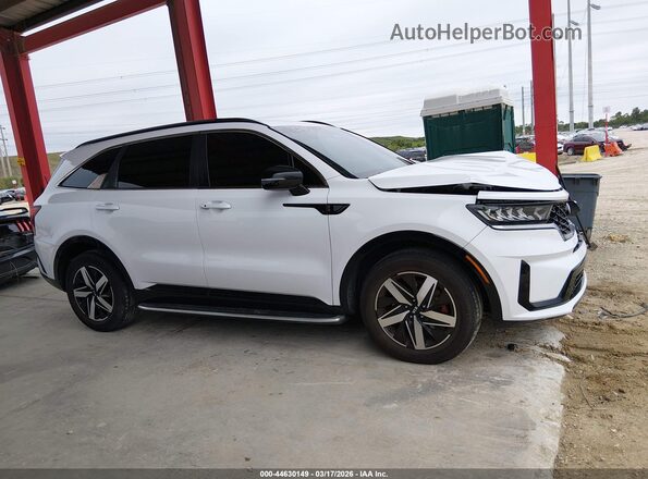 5XYRH4LF2MG035095 2021 KIA SORENTO Белый Вид задней части салона