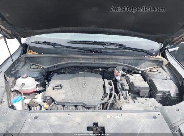 5XYRL4JC3RG283600 2024 KIA SORENTO Black Widok z tyłu