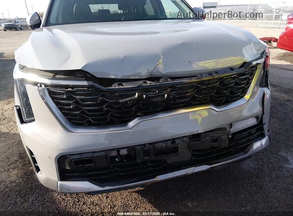 5XYRL4JC3SG320117 2025 KIA SORENTO Gray Widok z przodu