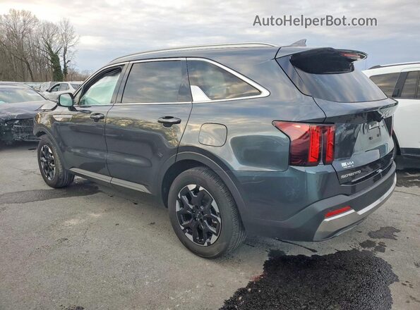 5XYRL4JC8RG293667 2024 KIA SORENTO Gray უკანა მარცხენა