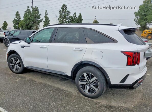 5XYRL4LC3MG073035 2021 KIA SORENTO White Tył lewy