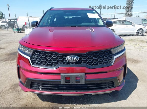 5XYRL4LC4MG062397 2021 KIA SORENTO Red Widok wnętrza z tyłu