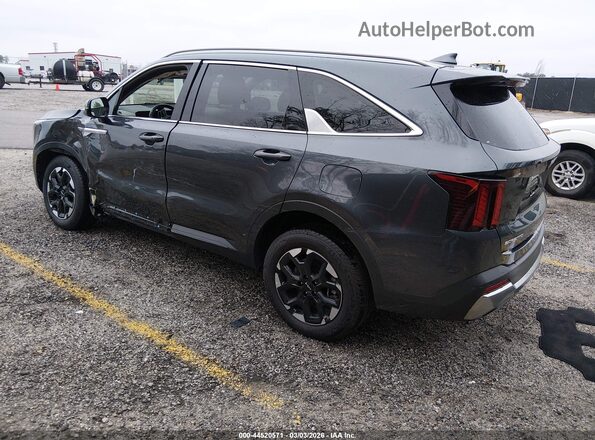 5XYRLDJC4RG285534 2024 KIA SORENTO Gray Задня ліва чверть