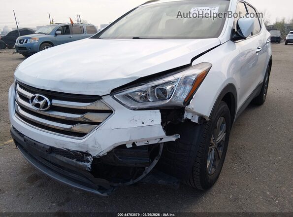 5XYZUDLBXGG362910 2016 HYUNDAI SANTA FE SPORT White Widok z przodu