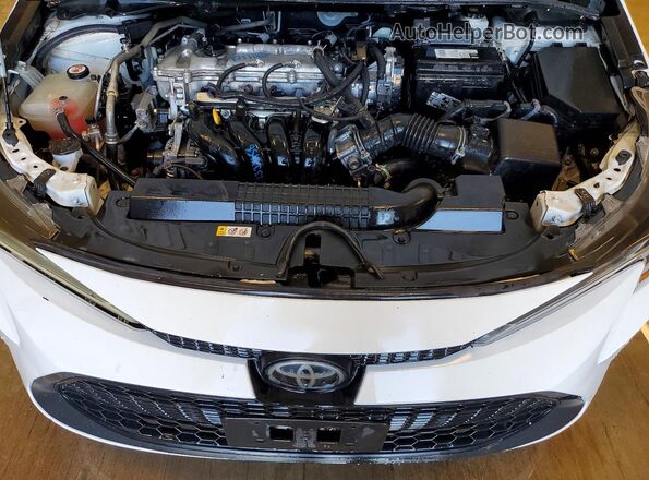 5YFEPMAE0MP219426 2021 TOYOTA LL White Вид задньої частини салону