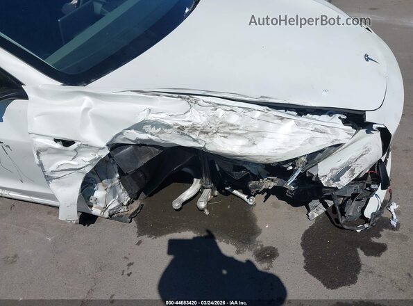5YJ3E1EA0RF729202 2024 TESLA MODEL 3 White Widok z przodu