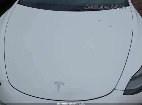 5YJ3E1EA8MF063795 2021 TESLA MODEL 3 White 