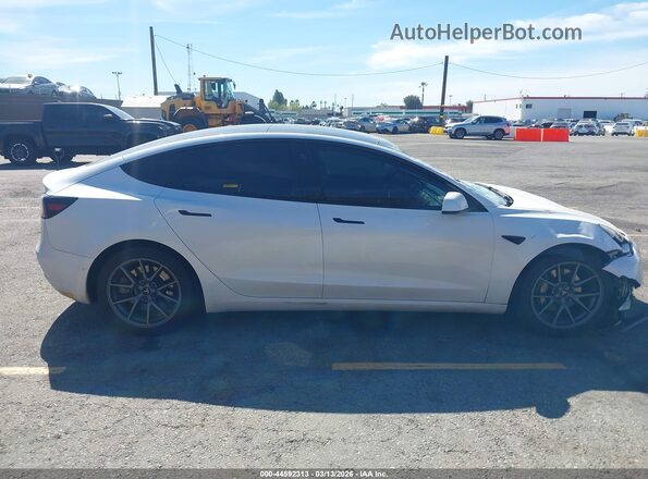 5YJ3E1EB4MF855483 2021 TESLA MODEL 3 White Widok wnętrza z tyłu