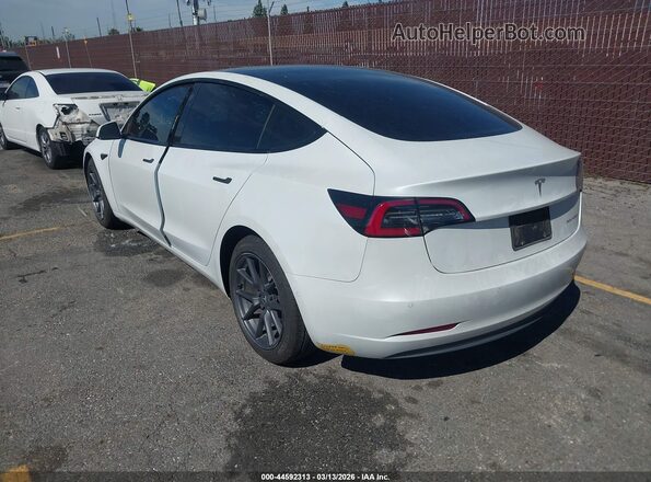 5YJ3E1EB4MF855483 2021 TESLA MODEL 3 White Tył lewy