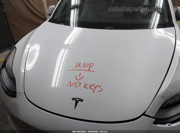 5YJ3E1EB4MF937777 2021 TESLA MODEL 3 White Widok z tyłu