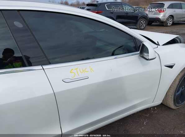 5YJ3E1EB7LF665434 2020 TESLA MODEL 3 White Вид салону спереду