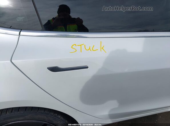 5YJ3E1EB7LF665434 2020 TESLA MODEL 3 White Вид наклейки з VIN-кодом