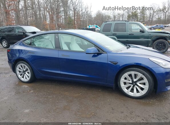 5YJ3E1EB8MF975433 2021 TESLA MODEL 3 Blue Widok wnętrza z tyłu