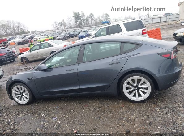 5YJ3E1EB9MF924281 2021 TESLA MODEL 3 Gray უკანა სალონის ხედი