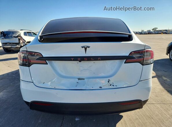 5YJXCBE25LF239058 2020 TESLA MODEL White Widok z tyłu