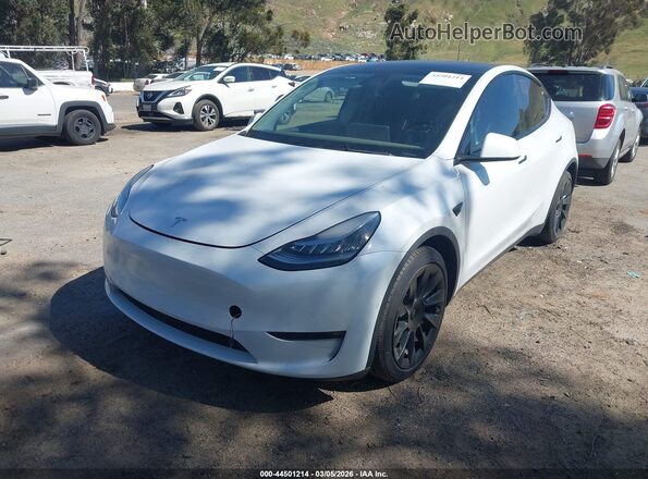 5YJYGDED4MF122630 2021 TESLA MODEL Y White Przód lewy