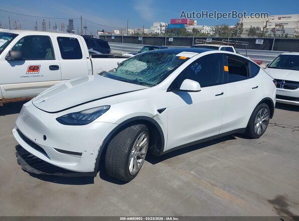 5YJYGDED5MF113984 2021 TESLA MODEL Y White Front left