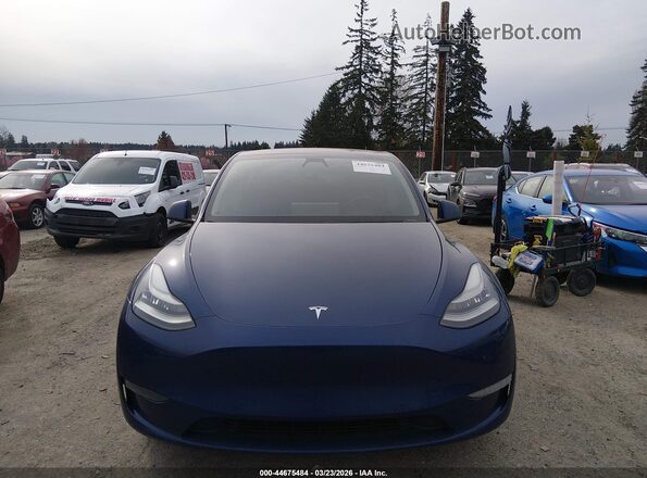 5YJYGDEE1LF032942 2020 TESLA MODEL Y Blue Vista del cuadro de instrumentos