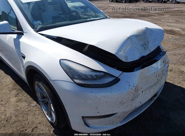5YJYGDEE2MF183421 2021 TESLA MODEL Y White 