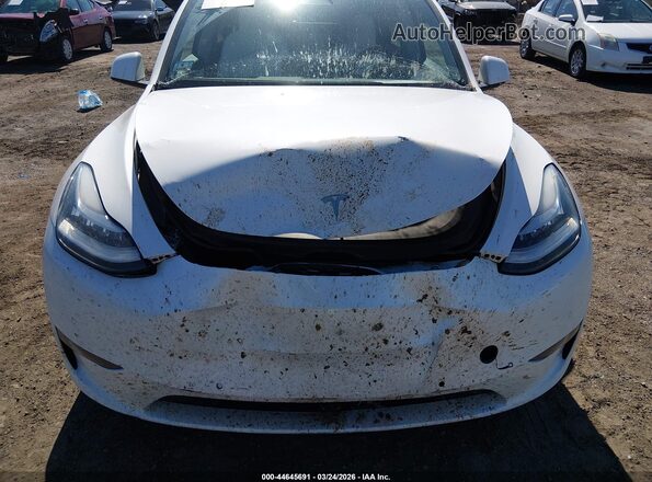 5YJYGDEE2MF183421 2021 TESLA MODEL Y White წინა ხედი