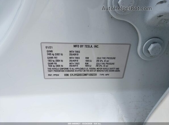 5YJYGDEE3MF109229 2021 TESLA MODEL Y White Շարժիչի բաժամունքի տեսք